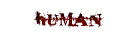 Human Human