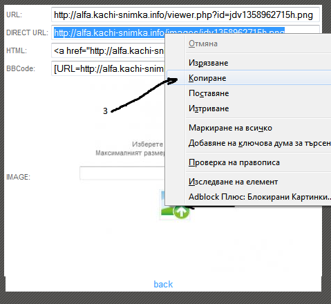 Публикувано изображение